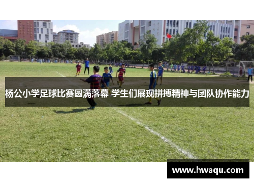 杨公小学足球比赛圆满落幕 学生们展现拼搏精神与团队协作能力